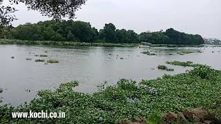 preview picture of video '50 cents waterfront land at Kundannoor, Kochi,  Kerala'