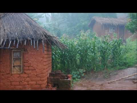 نوروز تو راهه  ( ثمین باغچه بان )  Nowruz is on The Way