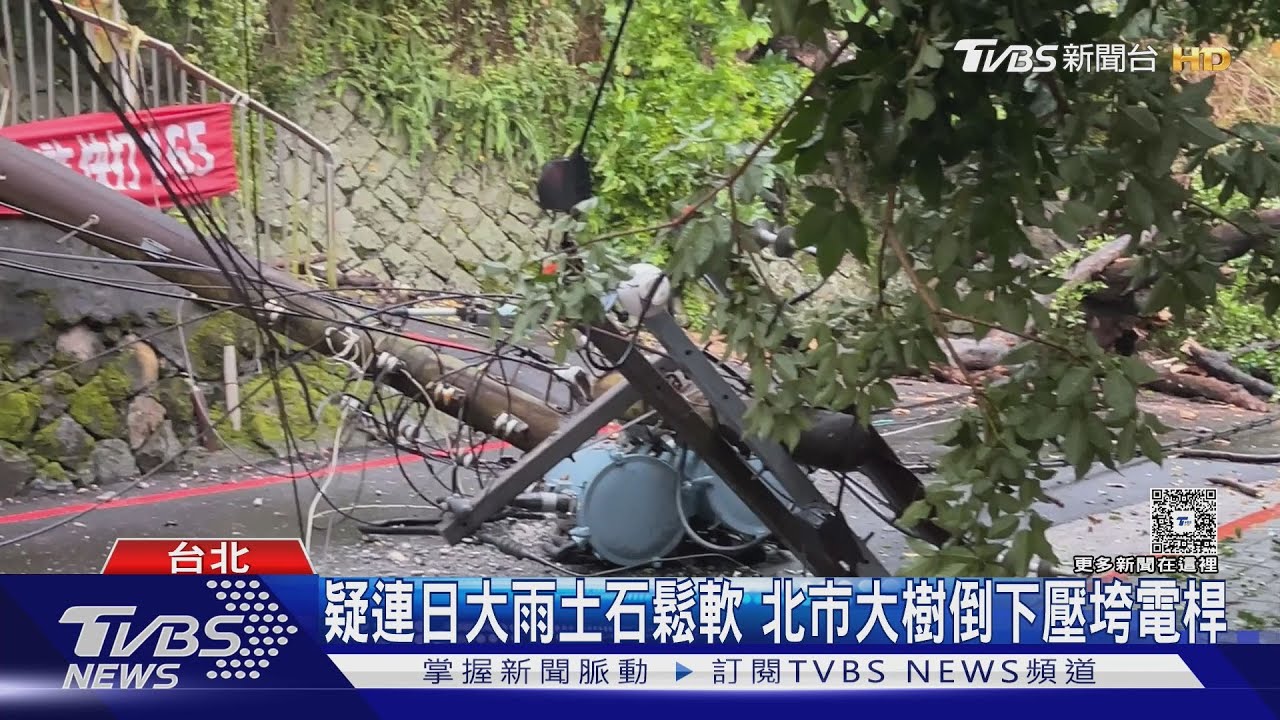 鄰近北投溫泉區!疑連日大雨土石鬆軟 大樹倒下壓垮電桿