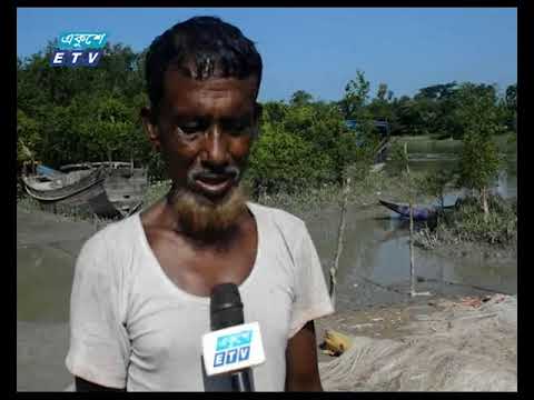 টানা ২২দিনের নিষেধাজ্ঞার পর গেলো মধ্যরাত থেকে শুরু হয়েছে ইলিশ ধরা কার্যক্রম
