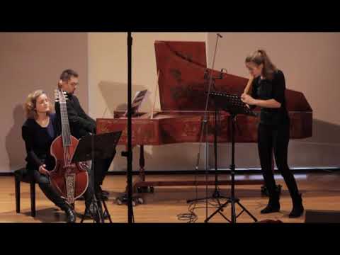 Janitsch Orgelsonate in d-moll 2. Satz Allegro moderato