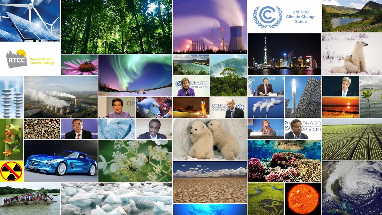 Midway through COP30