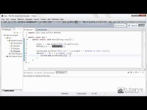 Learn How to use reflection in Java - Mind Luster