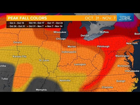 Indiana mid-October fall foliage update