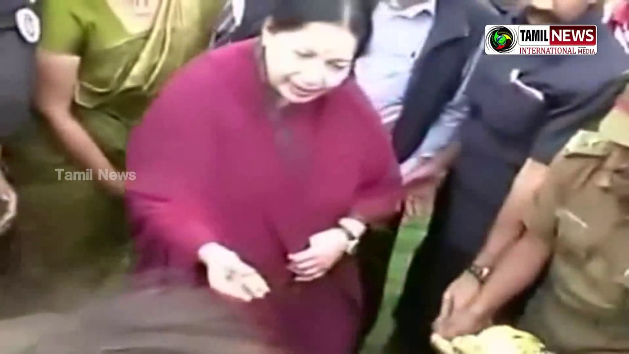 Jayalalithaa Narrow From An Elephant Attack 2014