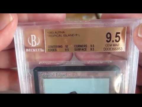 download lagu mp3 mp4 Alpha Tropical Island Price, download lagu Alpha Tropical Island Price gratis, unduh video klip Alpha Tropical Island Price