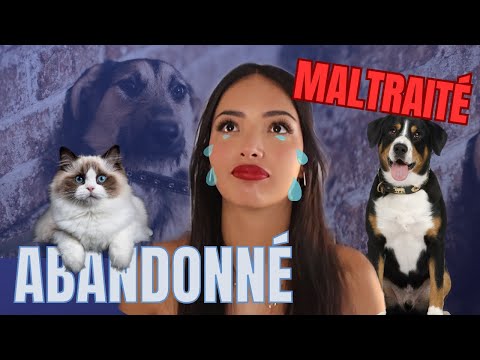 Il est l'heure de changer une vie !