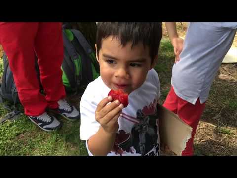 Dječji sabor 2018 - Adventisti Bih - HAC u BiH