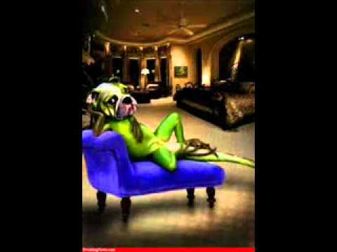 The Lounge Lizards - Queen Of All Ears - Monsters Over Bangkok