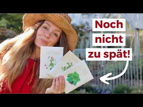 17 Gemüse, die du im September anbauen kannst 🫘