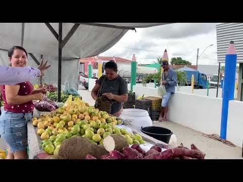 Feira da Semana Santa em Senador Rui palmeira - AL 31 - 03 - 2026 #nordeste