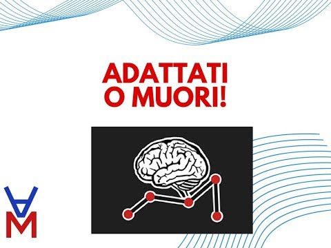 Si può fare il massaggio per il dolore della parte bassa della schiena Perché il dolore alla schiena, quando ci si sdraia a pancia in giù