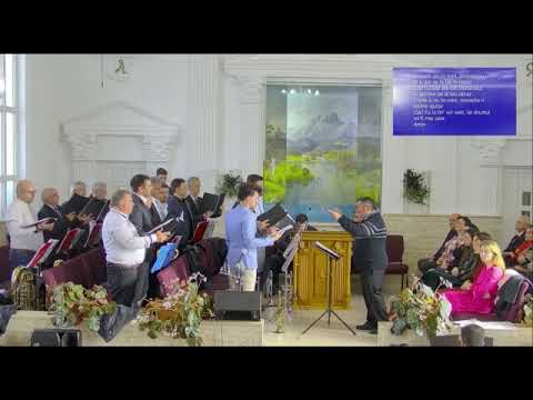 EU N-AM SĂ TE LAS CA SĂ PIERI  - Grupul Misionarul - Arad