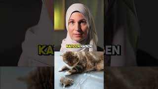 Toxoplasmose - Manipulierter Selbstmord - Teil 2