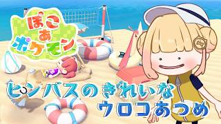 『ぽこあポケモン』もうイベント来てる♫【檸楽のら/Vtuber】8/17