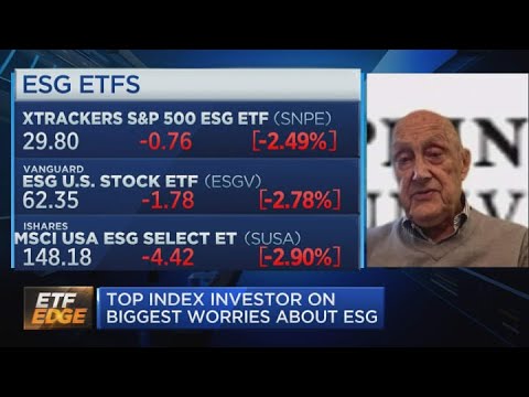 This is the big problem with sustainable investing, according to Wall Street legend Burton Malkiel