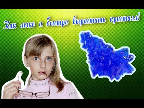 Как ЛЕГКО и БЫСТРО вырастить КРИСТАЛЛ из медного купороса! How to grow up the CRYSTAL