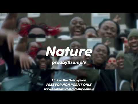 (FREE) One Acen x Hakkz x Mostack Type Beat - Nature / Free Afroswing Type Beat 2022