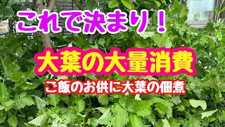 【時短料理】大葉の大量消費にはこれで決まり！(大葉の佃煮)
