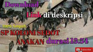 Download lagu SUARA PANGIL SP KOLONI SEDOT ANAKAN DI JAMIN BURUNG TETANGGA PINDAH ke GEDUNG kita mp3