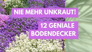 Unkraut - Nicht mit diesen 12 Bodendecker! So wird Dein Garten pflegeleicht & wunderschön!