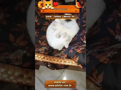 Vídeo de Sem nome