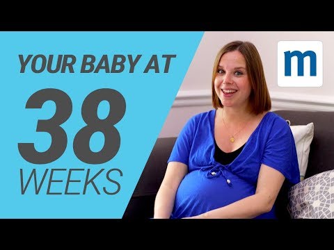 Your baby at 38 weeks | Pregnancy week by week
