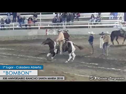 1er lugar cala de caballo Rancho Santa Maria 2018