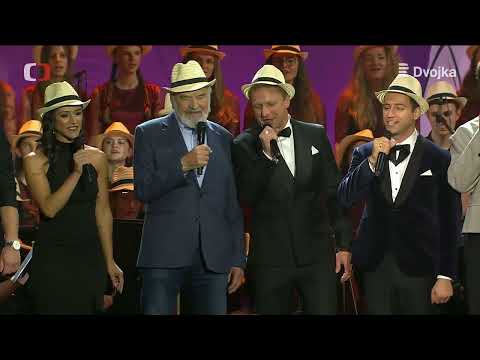 Koncert pro Jaroslava Uhlíře: Narozeninová / Není nutno