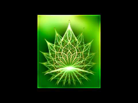 FullOm.Groove .::Sonic Species & Mental Broadcast - Receiver::.