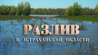 Рыбалка на разливе в астрахани