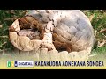 KAKAKUONA AGOMA KUTABIRI ACHAPA USINGIZI SONGEA