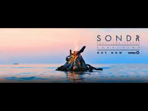 Surviving - Sondr ft. Joe Cleere (Lyrics)