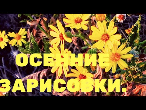 Осень,осенние зарисовки.Сентябрь.