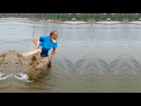 Amazing Net Fishing Video - Best Net Fishing Video - Traditional Catching Fish in The River