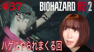 【バイオハザード】ハゲに殴られまくって心折れそう…【実況 #37】