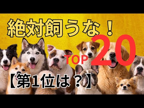 【絶対飼うな！と言われる犬種トップ20】…でも本当の理由は？