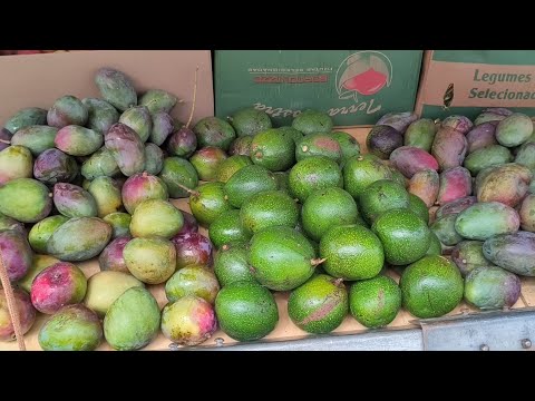 Feira livre de Fátima, Flores-PE (05/06/26)