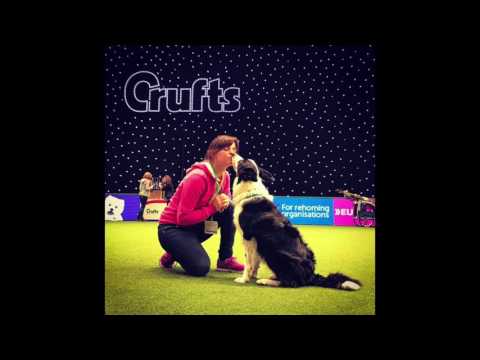 Radio Amores Perros | Crufts