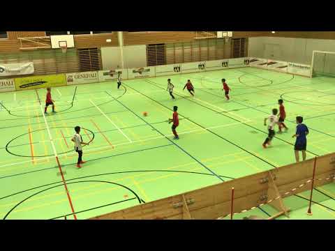 Finale Sc Basel Nord 0:2 Fc Windisch