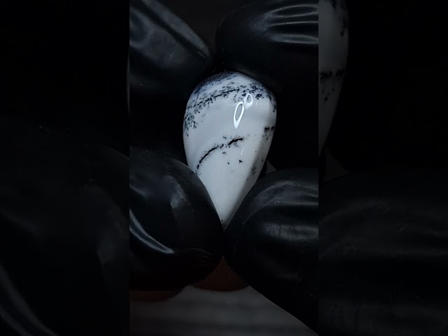 حجر اوبال شجري طبيعي