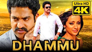 Dhammu (4K) Telugu Hindi Dubbed Full Movie | Jr. NTR, Trisha Krishnan, Karthika Nair