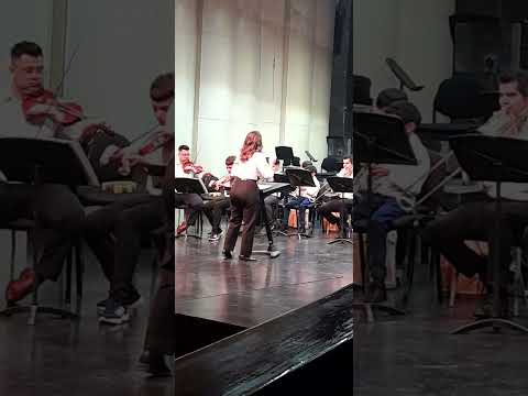 Ver 12049, Orquesta Juvenil de Lavalle, Mendoza Argentina 2026, Teatro Independencia