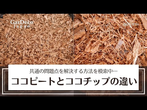 園芸 ココナッツ