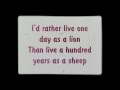 Lukas Graham - Before The Morning Sun (Lyrics)