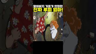 👉거프가 인정한 진짜 루피 엄마! #onepiece #원피스