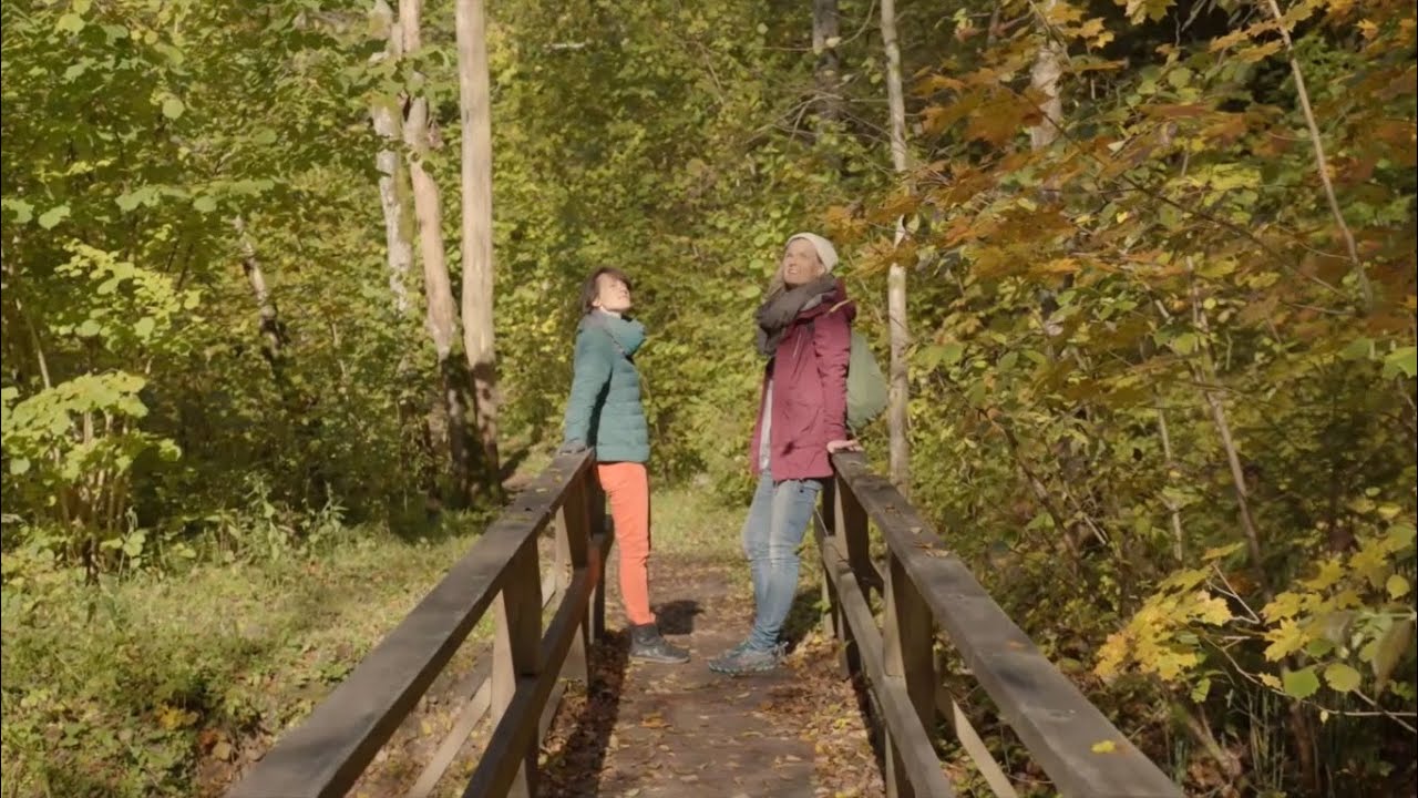 Sigulda kļuvusi par dabas un piedzīvojumu terapijas mājvietu Latvijā