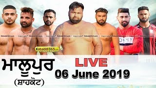 Malupur (Shahkot) Kabaddi Tournament 06 June 2019 