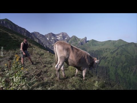 Land der Berge: Almgeschichten aus Vorarlberg