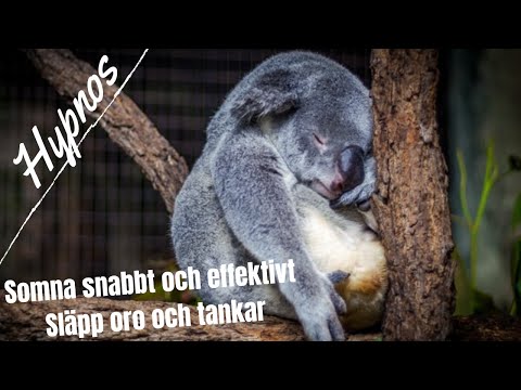 Somna snabbt och effektivt - Hypnos - guidad meditation - Delta vågor (Lång version)